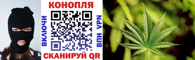 Виды наркотиков купить Елизаветинская мега вход  СК  Галлюциногенные грибы  Меф  ГАШ 