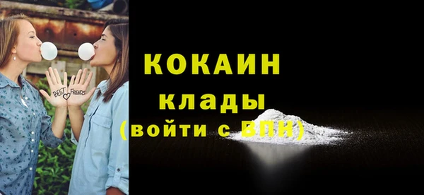 стаф Абинск