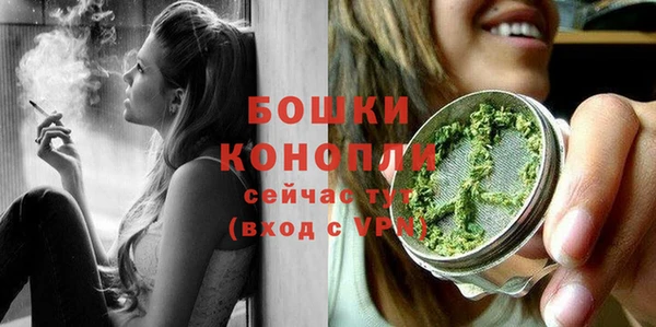 крисы Магадан