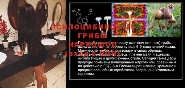 соль ск Алзамай