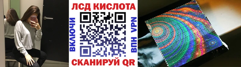 дарнет шоп  Елизаветинская  Марки 25I-NBOMe 1,8мг 