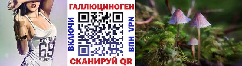 Галлюциногенные грибы мицелий  KRAKEN ссылка  Елизаветинская 