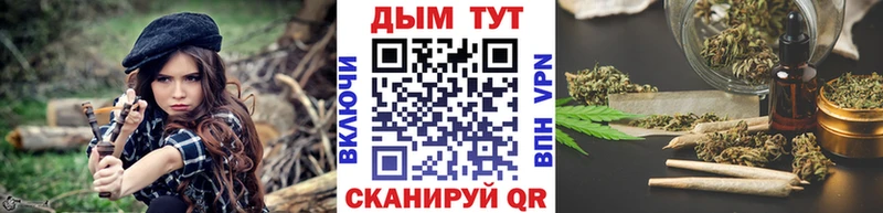 Бошки марихуана сатива  где продают наркотики  Елизаветинская 